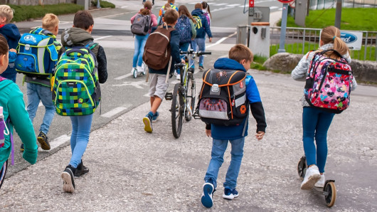 Ali veste, da otroci želijo v šolo aktivno?